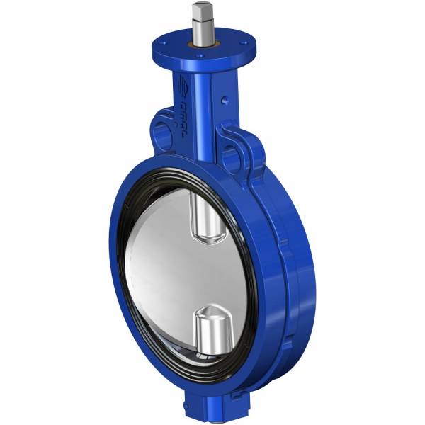 Cast iron butterfly valves